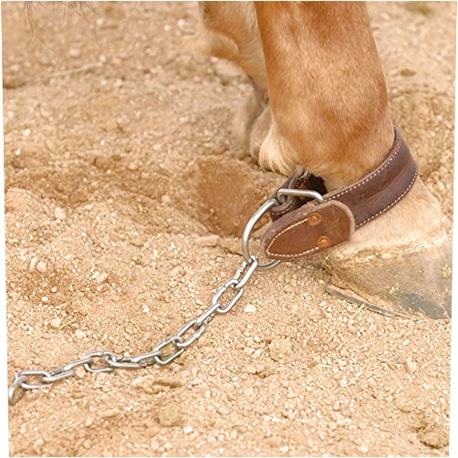 Schutz Brothers Shutz Brothers Kicking & Pawing Chain