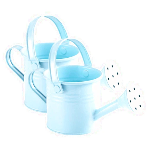 DOITOOL 2Pcs Kids Watering Pot Metal Waterbottle Creative Watering Tin Small Watering Can Iron Sprinkling Kettle Portable Watering Can (Light Blue 2PCS)