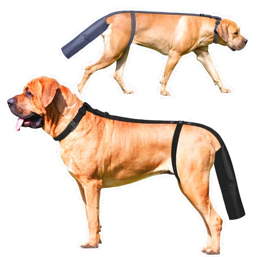OPEYATOYS 2 Pieces Dog Tail Protector Cover for Wounds, Dogs Tails Heal Sleeve, Dog Wound Care for Medium and Large Dogs to Assist in Recovery from Injury, Tail Size（XL 19.7-21.6