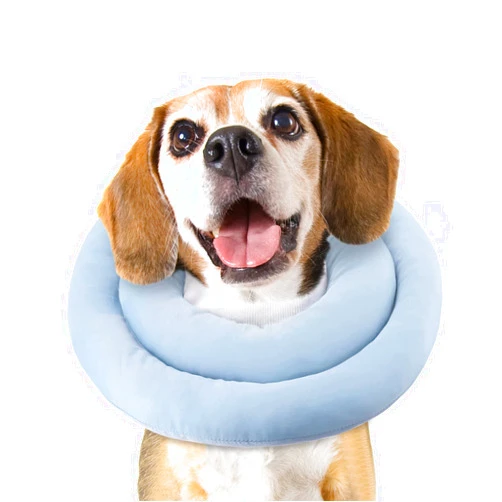 GoGoPaw Soft Dog Cone for Small Medium Dogs and Cats, Adjustable Dog Cone Alternative After Surgery, Water Resistant Pet Recovery Cone Collar for Large Dogs to Stop Licking Wounds