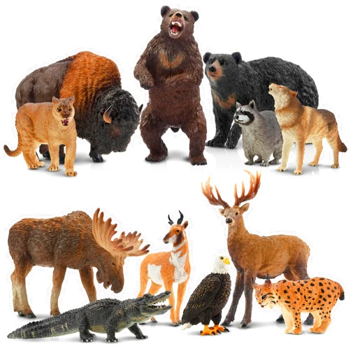Toymany 12PCS North American Forest Animal Figurines, Realistic Jungle Animal Set Includes Raccoon,Lynx,Wolf,Bear,Eagle, Educational Toy Cake Toppers Christmas Birthday Gift for Kids Toddlers