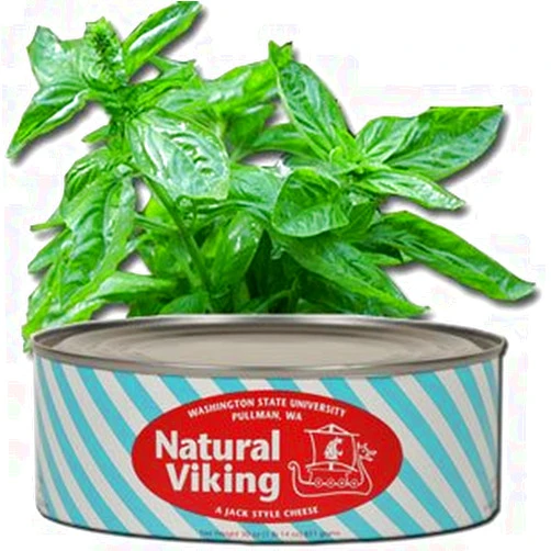 Washington State University WSU Creamery Sweet Basil Cheese 30oz can