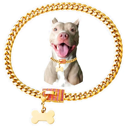 Petoo Gold Stainless Steel Cuban Link Heavy Duty Personalized Pendant Necklace Dog Collar for Small Medium Dogs, American Bully French Bulldog Dog Collar with CZ Luxury Safety