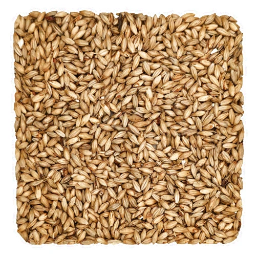 Home Brew Ohio Munich Light 8L Grain 1lb