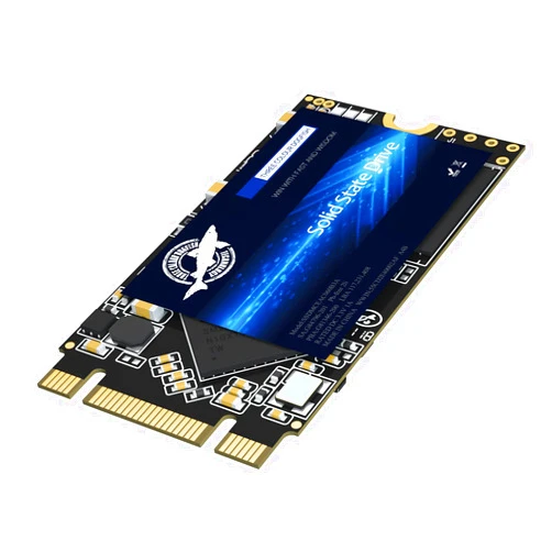 THREE COLOUR DOGFISH Dogfish M.2 2242 SSD 250GB 3D NAND TLC SATA III 6 Gb/s, Internal Solid State Drive - Compatible with Desktop PC Laptop (M.2 2242 250GB)