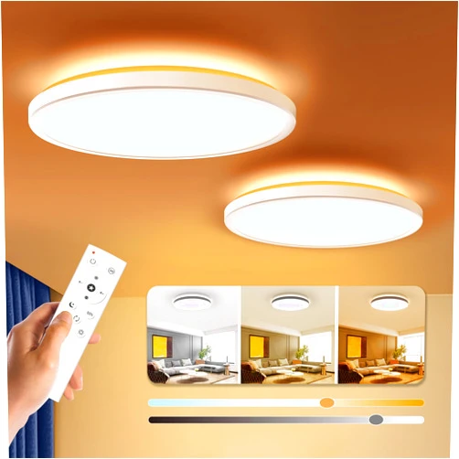 BLNAN Dimmable LED Flush Mount Ceiling Light Fixture with Remote Control, 12Inch 24W 3000K-6500K Light Color Adjustable, Modern Ultra Thin Wired Lamp for Bedroom Kitchen, White, 2 Pack