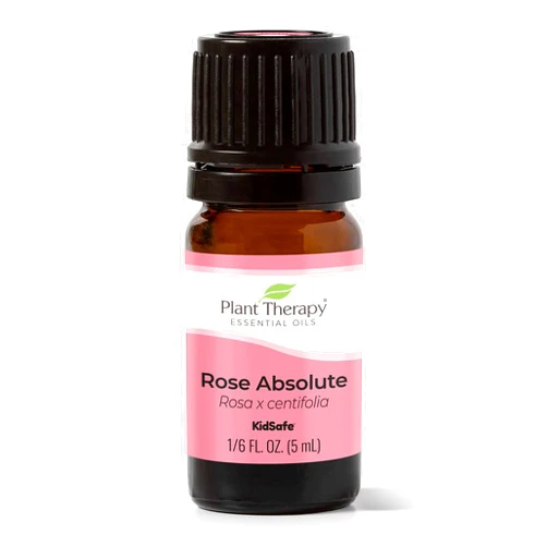 Plant Therapy Rose Absolute Essential Oil 100% Pure, Undiluted, Natural Aromatherapy, Therapeutic Grade 5 mL (1/6 oz)