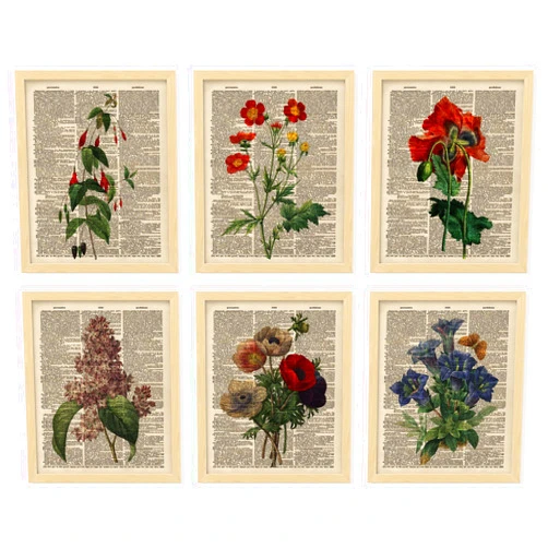 97 Decor Floral Vintage Wall Art Print - Antique Botanical Wall Art, Flower Book Wall Decor, Upcycled Dictionary Flower Poster, Wildflower Pictures for Bedroom Home Decorations (8x10 Unframed)