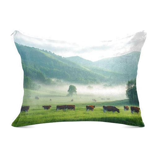 Burbuja Cows in Pasture Pillowcase Queen Size 20x30 in, Ultra Soft and Cozy Plush Pillow Case Cover with Zipper for Hair Skin