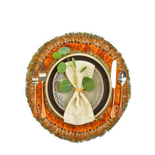 Two's Company Pheasant Park Set of 6 Round Decorative Mats - Pheasant Feathers