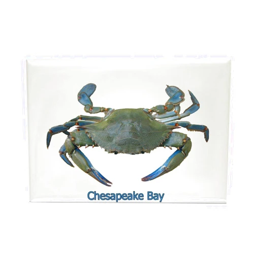 CafePress Chesapeake Bay Blue Crab Rectangle Magnet, 3
