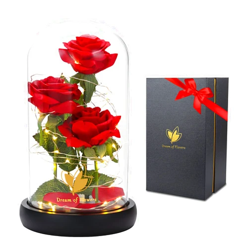 Dream of Flowers Mothers Day Preserved Rose Gifts for Mom Beauty and The Beast Rose in Glass Dome With 2 Lights Mode, Birthday Anniversary Valentines Gifts for Wife,Girlfriend，Red Silk Rose Flower Gifts for Women