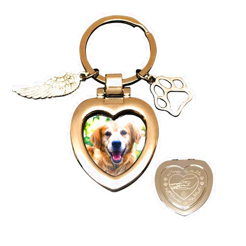 JOEZITON Pet Memorial Gifts (Opts) Passed Away Personalized Family Picture Frame or Keychain Jewelry Angel with Paws for Loss of Dogs or Cats.(K1)