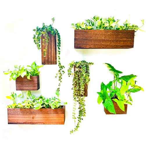 LáLáGreen LaLaGreen Wood Planter Box for Plants (6 Pack) Wooden Hanging Wall Planters for Indoor Plant Holder Vase for Dried Flowers, Modern Farmhouse Wall Decor Living Room Bedroom Kitchen Office Home Garden