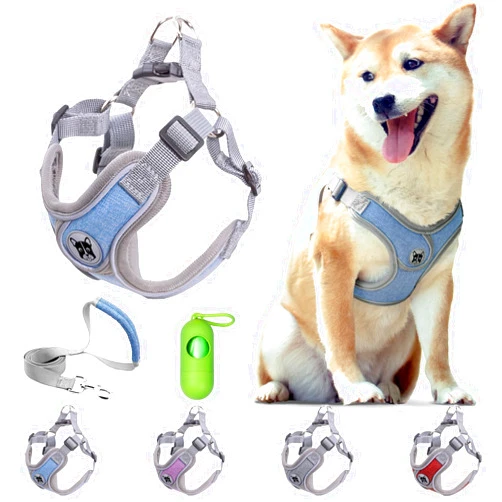 Patas Lague Dog Harness with Leash Set Adjustable Soft Padded Step-in Solid Dog Vest Harness No Choke No Pull Reflective for Medium Dogs with Poop Bags and Dispenser Blue L