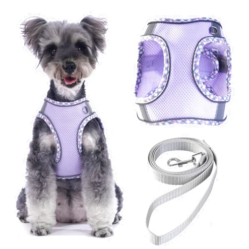 BONAWEN Soft Mesh Dog Harness and Leash Set, No-Chock Step-in Breathable Vest Harnesses for Small Pets Under 20lbs(Purple,S)