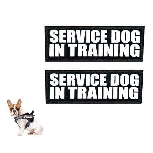 Damorr 2PCS Service Dog in Training Patches for Service Dog Vest Hook and Loop | in Training Dog Patch for Harness | in Training Service Dog Patch | Service Dog Patches | Size (6x2 inches / 5x15 cm)