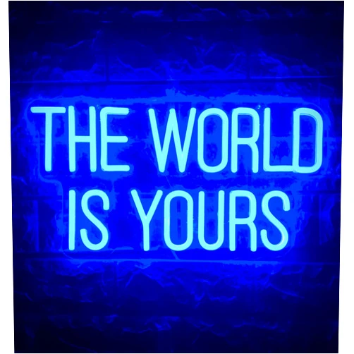 MOUOGO The World Is Yours Neon Sign Neon Light Girls Bedroom Graduation Sign For Wall Art,Gym,Office,Led Lights Party,Bar,Wedding Gifts Usb Powered With Switch 16.5