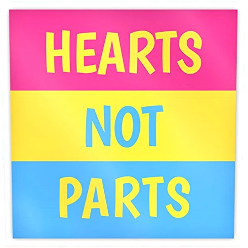 Dwelling in Fantasy HEARTS NOT PARTS Pansexual Pride Metal Fridge/Locker Magnet