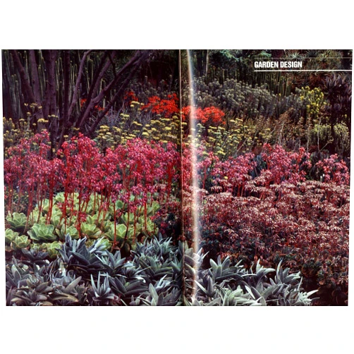 Debra Brown Folsom Dry Climate Gardening with Succulents (The American Garden Guides)