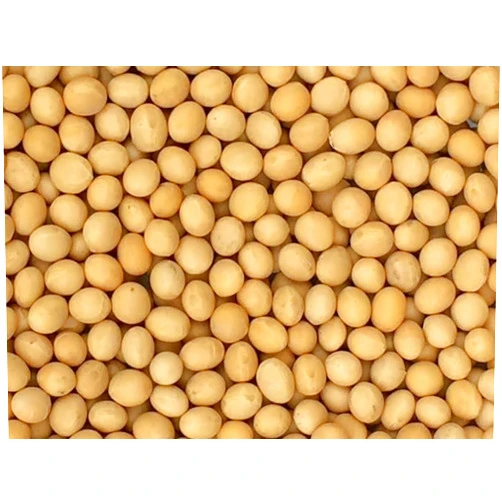 Pinstar Premium Premium Non-GMO Soybeans - 3 Lbs - Perfect for Soy Milk, Tofu, Natto - 100% Product of USA (Newest Crop)