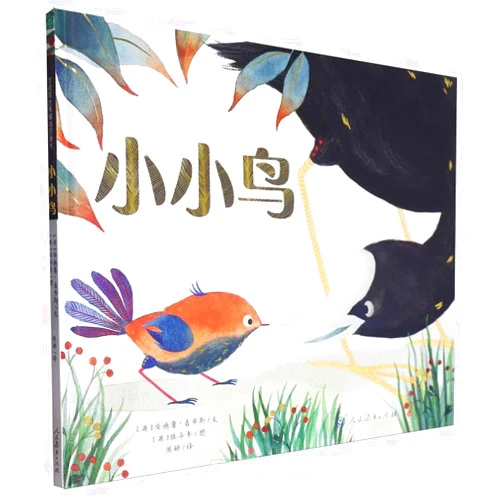 Andrew Gibbs Little Bird (Hardcover) (Chinese Edition)