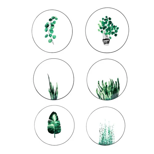 YCBH 8 Inch Set of 6 Assorted Designs, Porcelain Plates with Plants Pattern, White Ceramic Dinnerware for Steak Luncheon Salad Dessert Serving Bread, Microwave Oven Dishwasher Safe