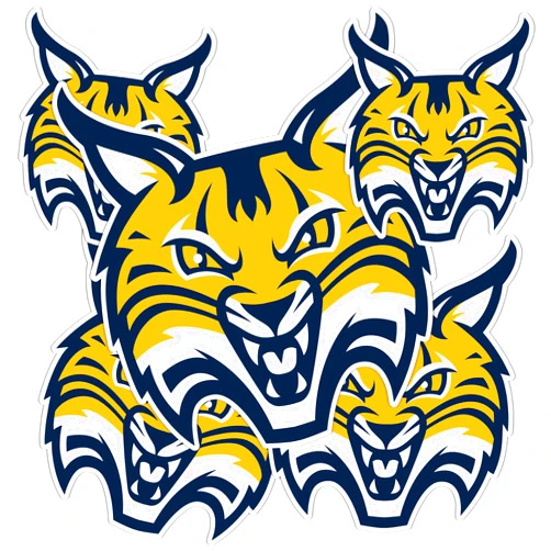 Desert Cactus Quinnipiac University Sticker QU Bobcats Vinyl Decals Laptop Water Bottle Car Scrapbook T3 (Type 3-1)