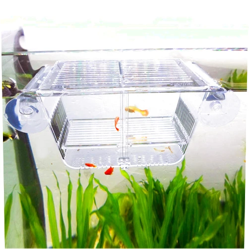 capetsma Fish Breeding Box, Acrylic Fish Isolation Box with Suction Cups, Aquarium Acclimation Hatchery Incubator for Baby Fishes Shrimp Clownfish and Guppy... Small Size (S)