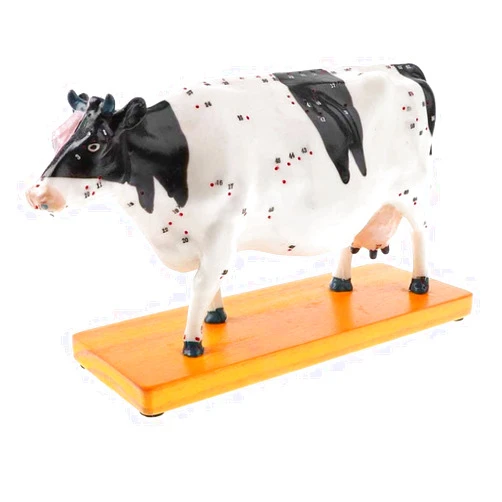 FLYIFE Cattle Acupuncture Model Animal Anatomy Traditional Medicine Cow Meridian Diagram Livestock Organ Anatomical Teaching