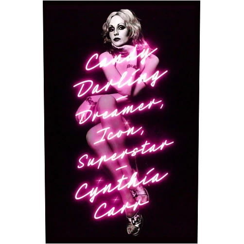 Cynthia Carr Candy Darling: Dreamer, Icon, Superstar