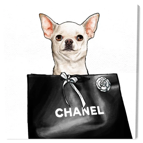 The Oliver Gal Artist Co. Animals Wall Art Canvas Prints 'Chihuahua Glam' Home Décor, 12