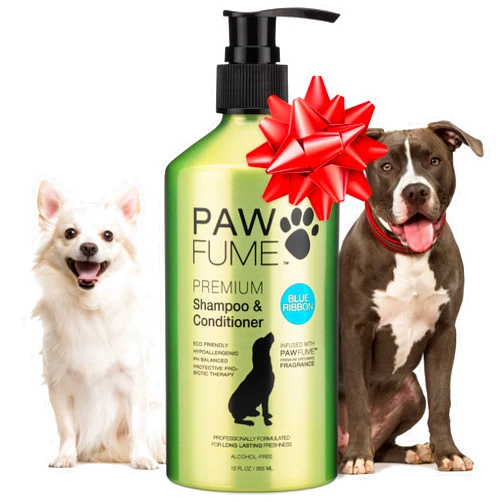 Paw Fume Pawfume Dog Shampoo and Conditioner – Hypoallergenic Dog Shampoo for Smelly Dogs – Best Dog Shampoos & Conditioners – Probiotic Pet Shampoo for Dogs – Best Dog Shampoo for Puppies (Blue Ribbon)