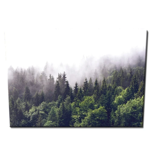 AREBOLO Forest Scenery Wall Art Misty Foggy Mountain Landscape Canvas Picture Wall Decor for Bedroom Living Room Office 12x16” Green Pine Trees Photo Prints Poster Painting Woodland Artwork Home Decorations