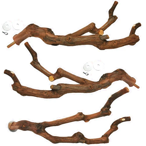 kathson Natural Parrot Perch Bird Stand Pole Wild Grape Stick Paw Grinding Fork Parakeet Climbing Standing Branches Toy Chewable Cage Accessories for Small Budgies Cockatiels Lovebirds 3PCS