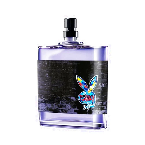 Playboy Fragrances New York Eau De Toilette Spray for Men, 1.7 Ounce
