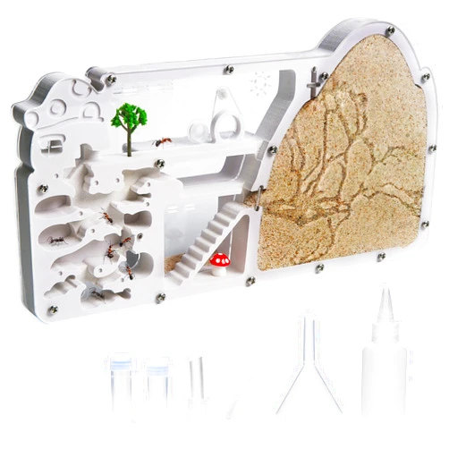 Wtsyant Ant Farm Castle - Large Viewing Area - Care for Live Ants - Ant Colony Observation Kits with Sand Habitat - Educational Science Gifts for Boys, Girls - Ant Farms for Kids, Adults, Student (Yellow)