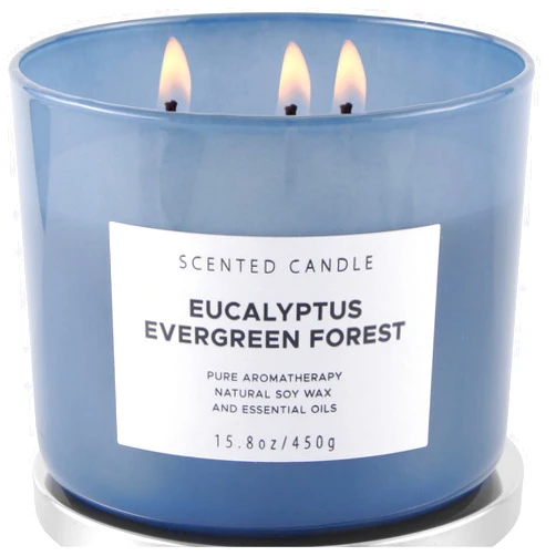 T&H Eucalyptus Evergreen Forest Luxury 3 Wick Winter Pine Candle | Mens Candles, Scented Candles for Home | Aromatherapy Stress Relief Soy Candles 15.8 oz | Balsam Fir Woods Candles for Men & Women