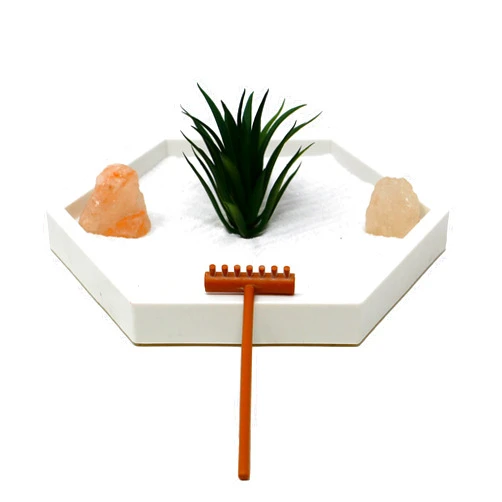 Nature's Mark Mini Zen Garden Kit for Desk with White Sand, Rake, White Base, Salt Rock and Air Plant (Hexagon)