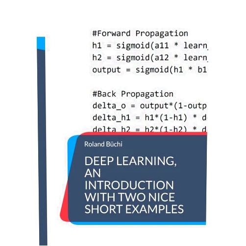 Roland Büchi Deep Learning, an introduction with two nice short examples