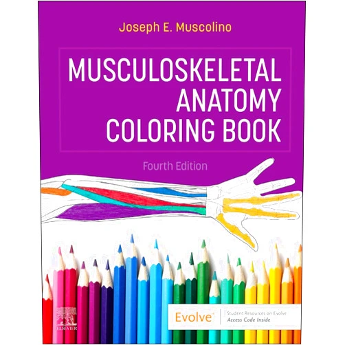Joseph E. Muscolino DC Musculoskeletal Anatomy Coloring Book