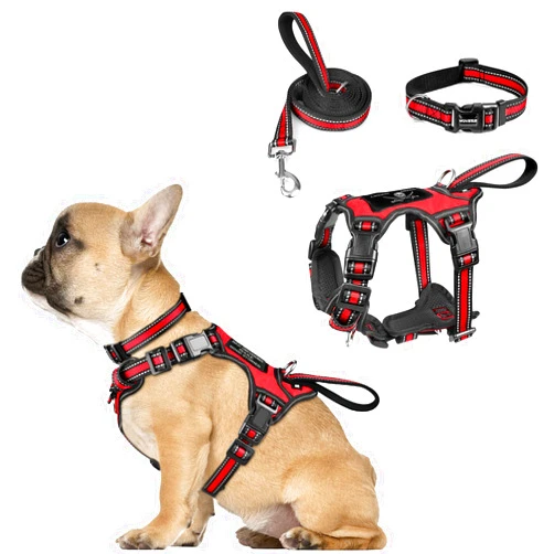 WINSEE Pet Harness Collar and Leash Set, All-in-one Reflective Dog Harness No Pull with Adjustable Buckles for Puppies, Small, Medium, Large, and Extra-Large Dogs (Small, Red)