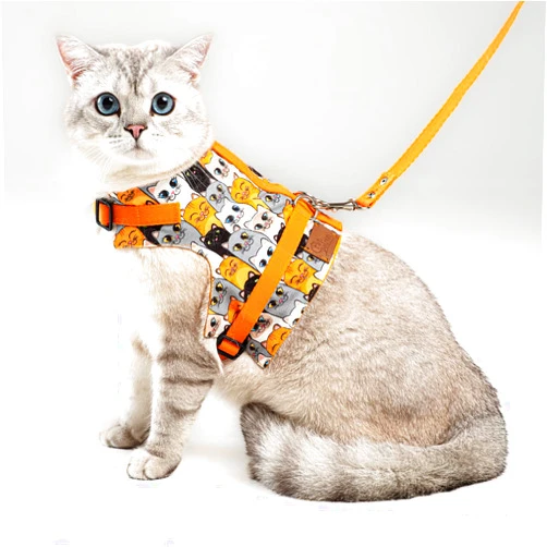 Patipatron Cat Harness and Leash Set, Cats Escape Proof - Adjustable Kitten Harness for Large/Medium/Small Cats, Walking Travel Petsafe Harness (Orange Cat Pattern, Extra Small)
