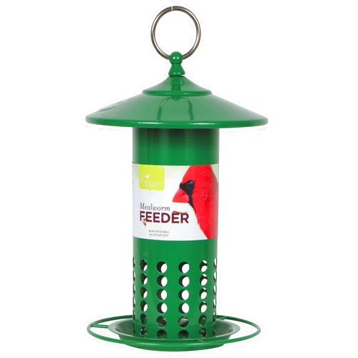 Pacific Bird and Supply Co Pacific Bird and Supply PB-0066 Green Mealworm Feeder, 6.25