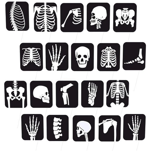 IPartyFun 48Pcs X Ray Cupcake Toppers Radiology Tech Week Decorations X-ray Radiology Tech Graduation Theme Cupcake Picks Decorations for Rad Doctor Nurse Skeleton Bone Party Supplies