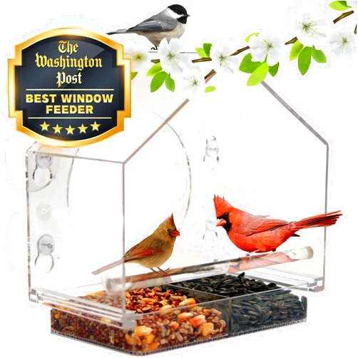 Nature Anywhere Transparent Acrylic Window Bird Feeders for Outdoors - Enhanced Suction Grip, Bird Watching for Cats, Easy-to-Clean, Outdoor Birdhouse Feeder