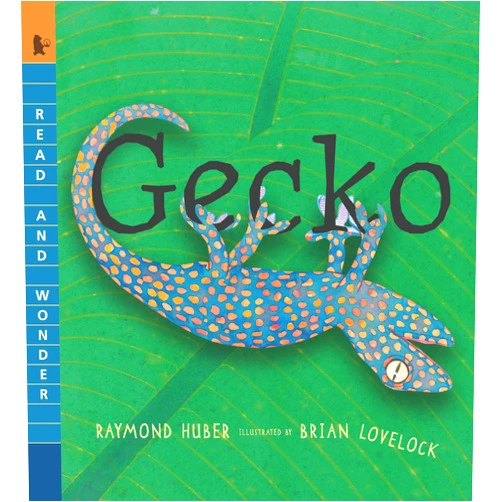 Raymond Huber,Brian Lovelock Gecko: Read and Wonder