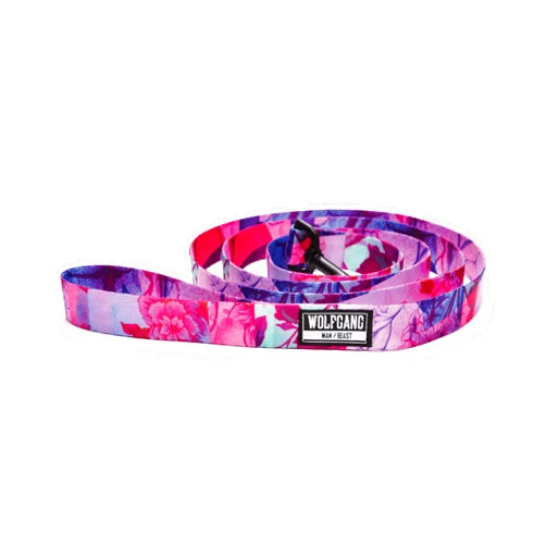 Wolfgang Man & Beast Wolfgang Premium Dog Leashes for Large Dogs, Heavy Duty, Durable & Easy to Clean Nylon Dog Leash with Quick Clip Buckles, for Training & Daily Use, Made in USA, Daydream Print (1 Inch x 6 Ft)