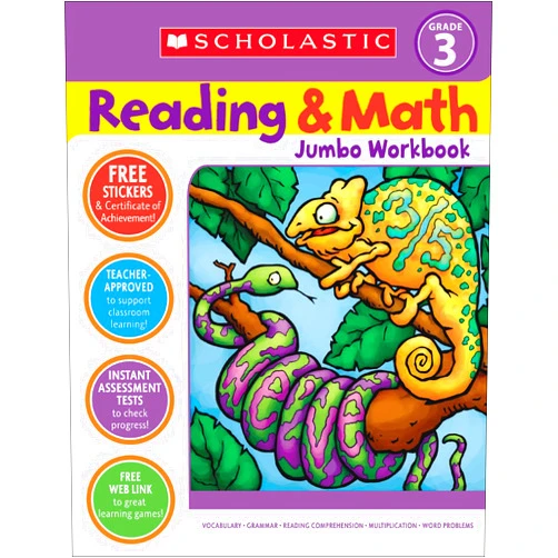 Virginia Dooley Reading & Math Jumbo Workbook: Grade 3
