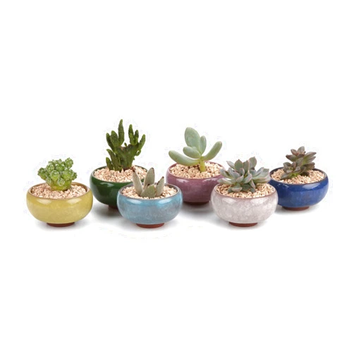 T4U 2.5 Inch Small Ceramic Succulent Planter Pot with Drainage Hole Set of 6, Ice Crack Glaze Porcelain Handicraft Plant Container Gift for Mom Sister Aunt Best for Home Office Desk Decoration